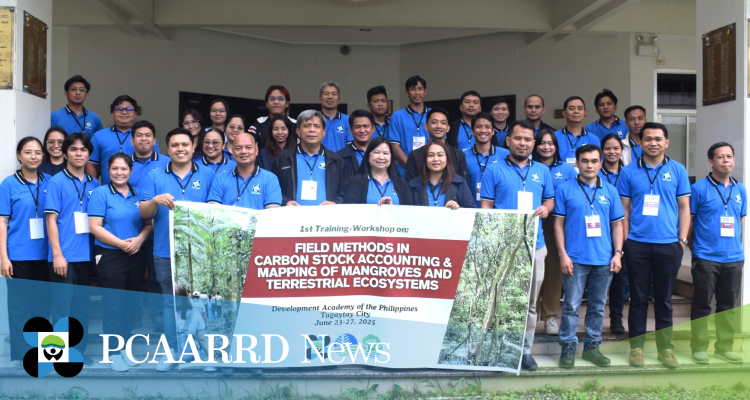 Capacity for mangrove and terrestrial carbon stock accounting boosted through DOST-PCAARRD and DENR-ERDB training